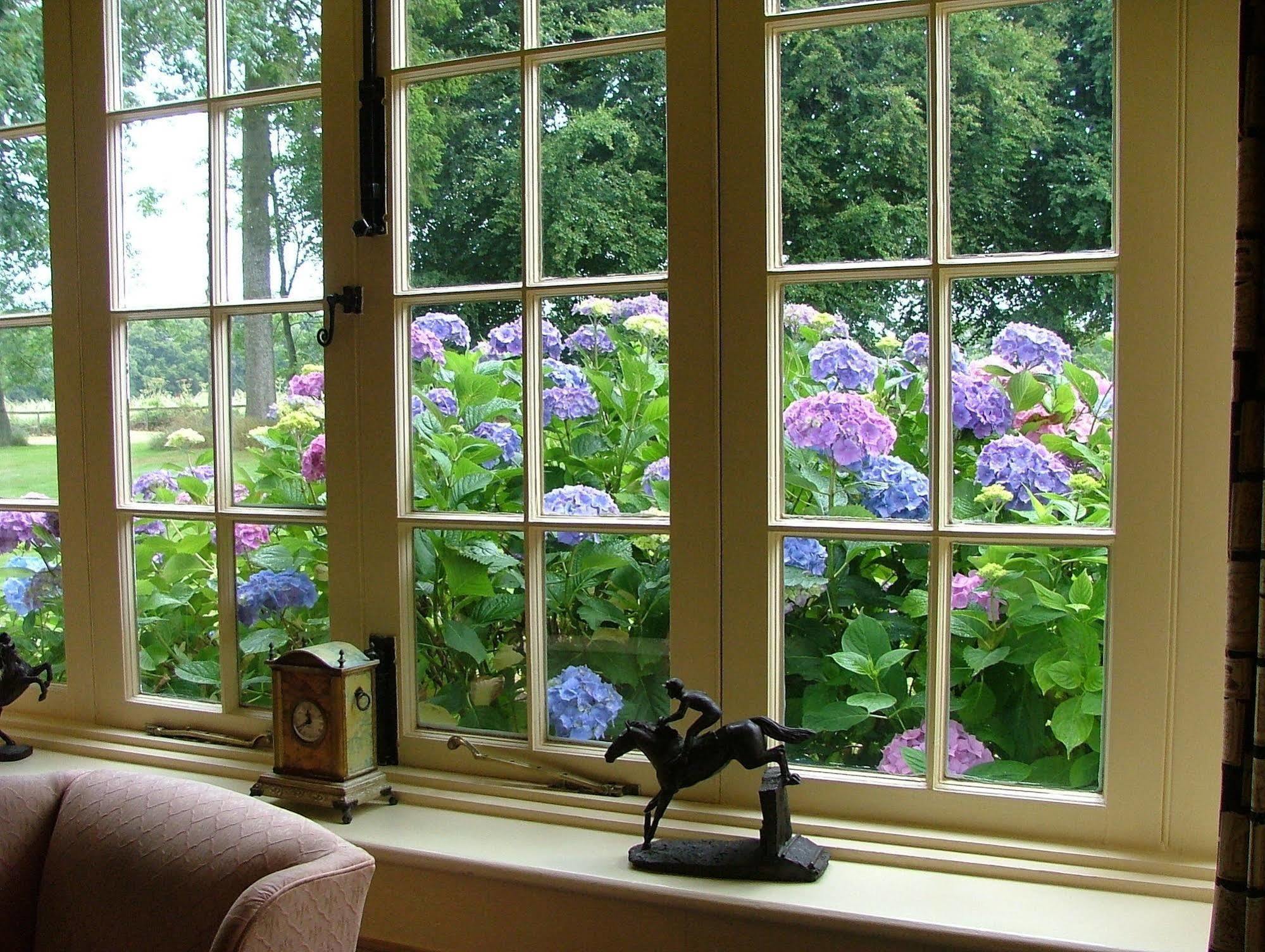 Esseborne Manor Hotel Hurstbourne Tarrant Buitenkant foto